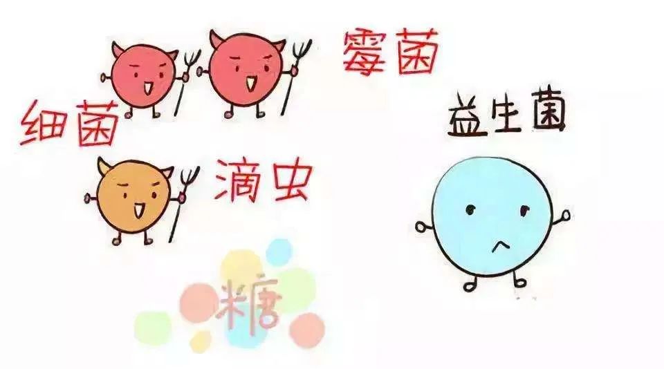 阴道炎怎么总是反反复复治不好？