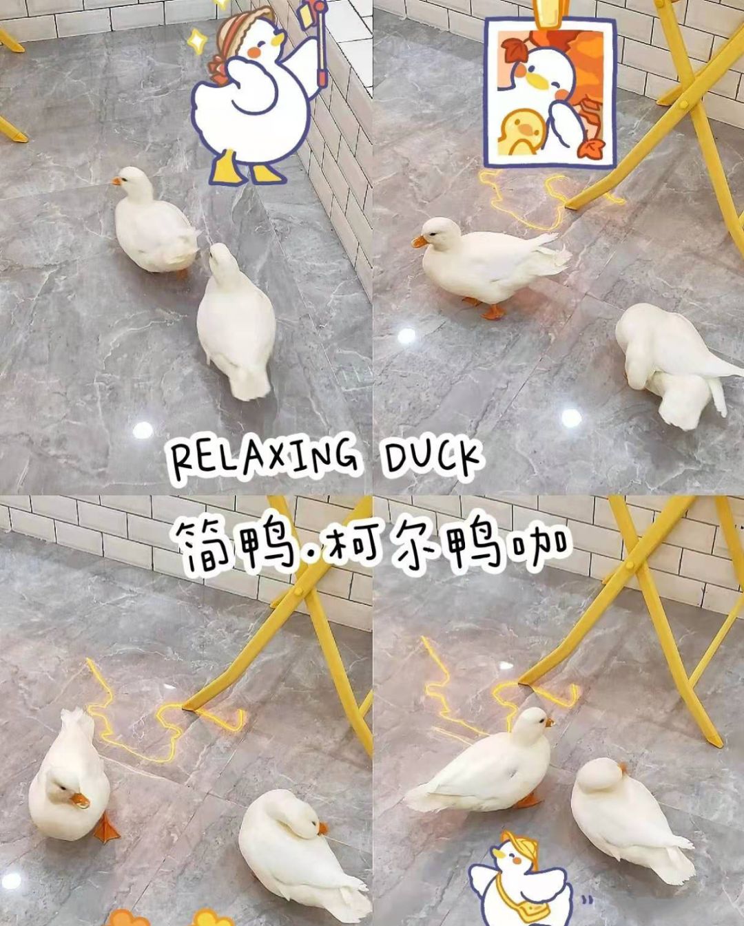 宁波万达潮玩,宁波潮玩店在哪