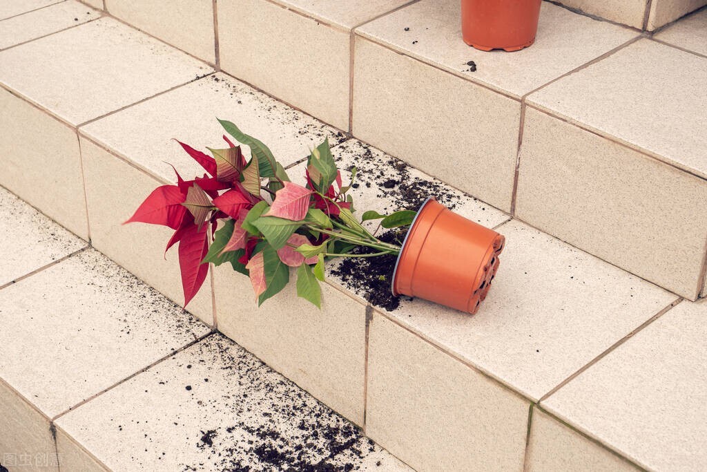 马斯克证明宇宙,马斯克宇宙观