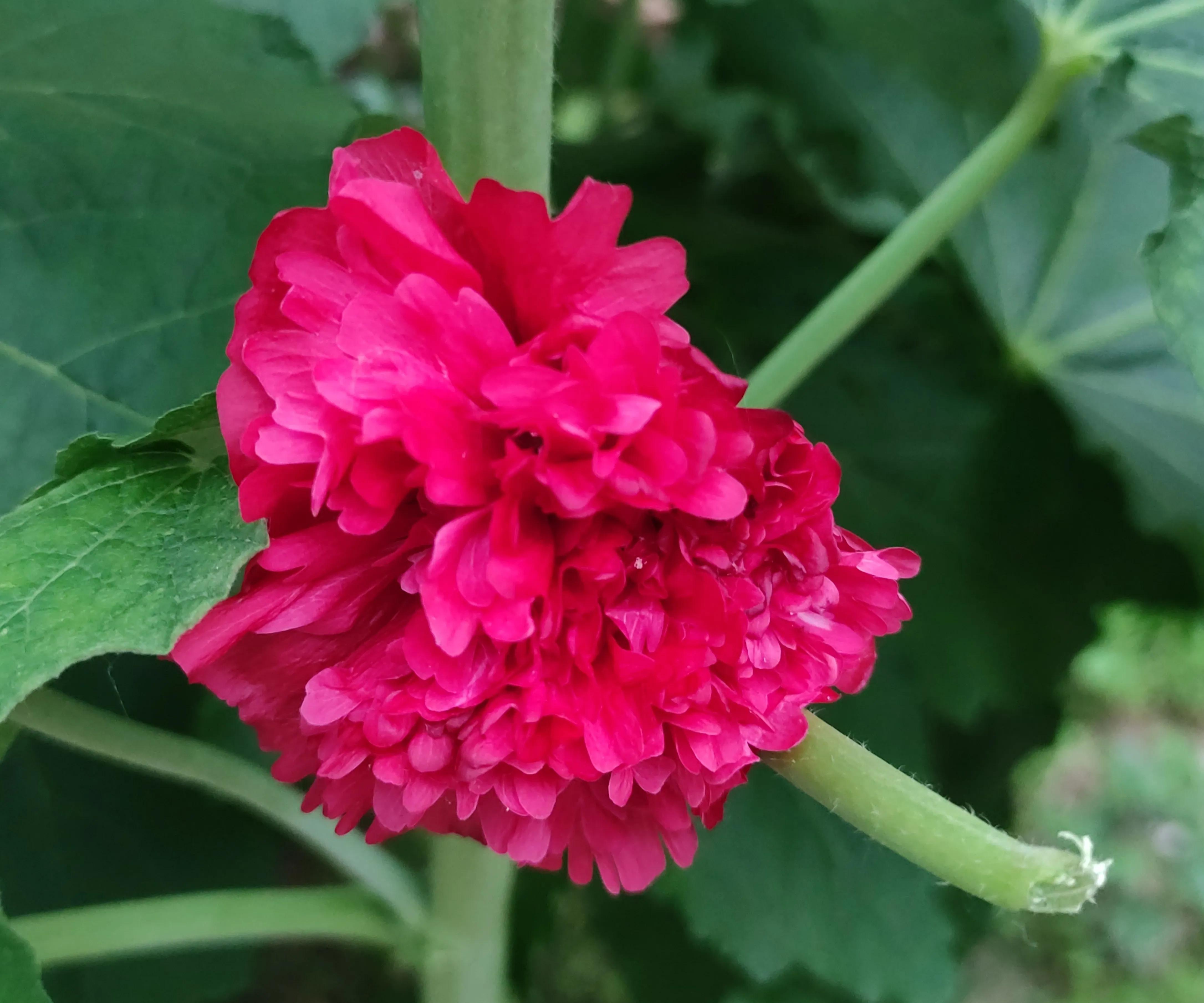 蕲春唯艾科技在全国有名吗,蕲春唯艾公司简介