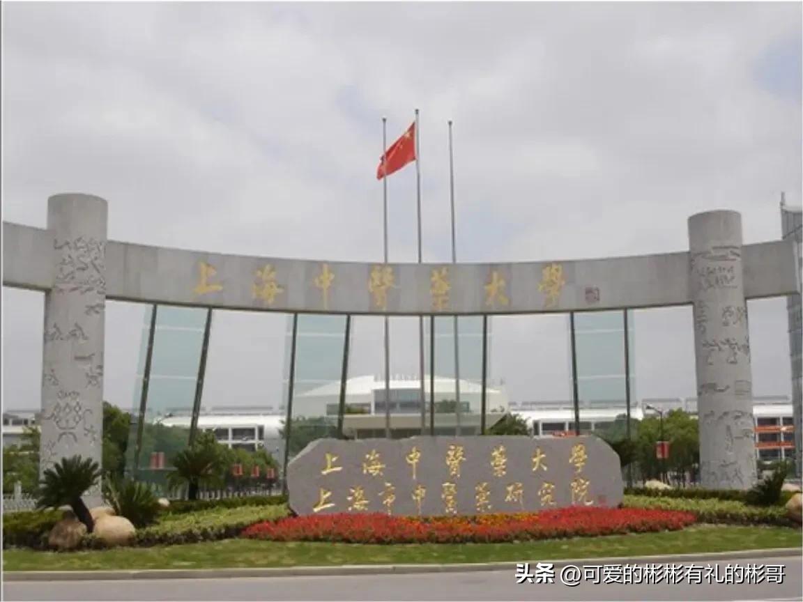 上海中医药大学，中医类排名全国第二，就业优势大前景好