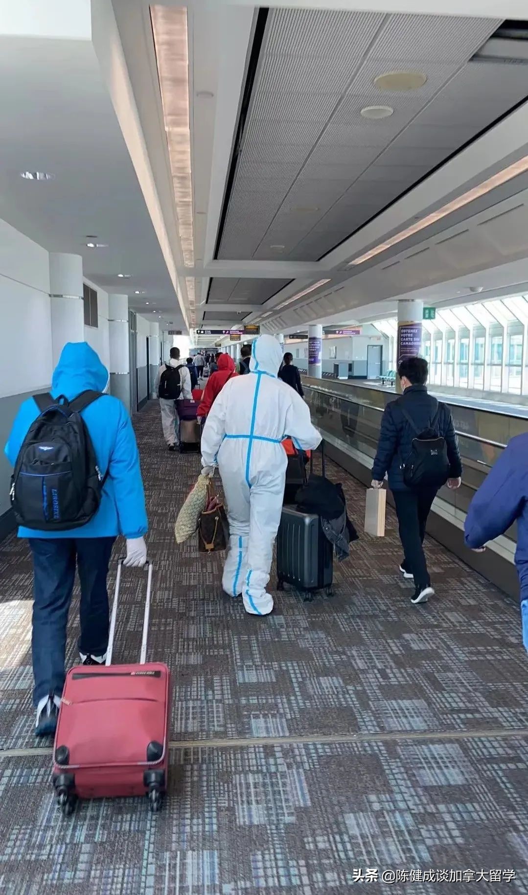 广州飞多伦多cz311航班飞行图 (cz311广州至多伦多2020)