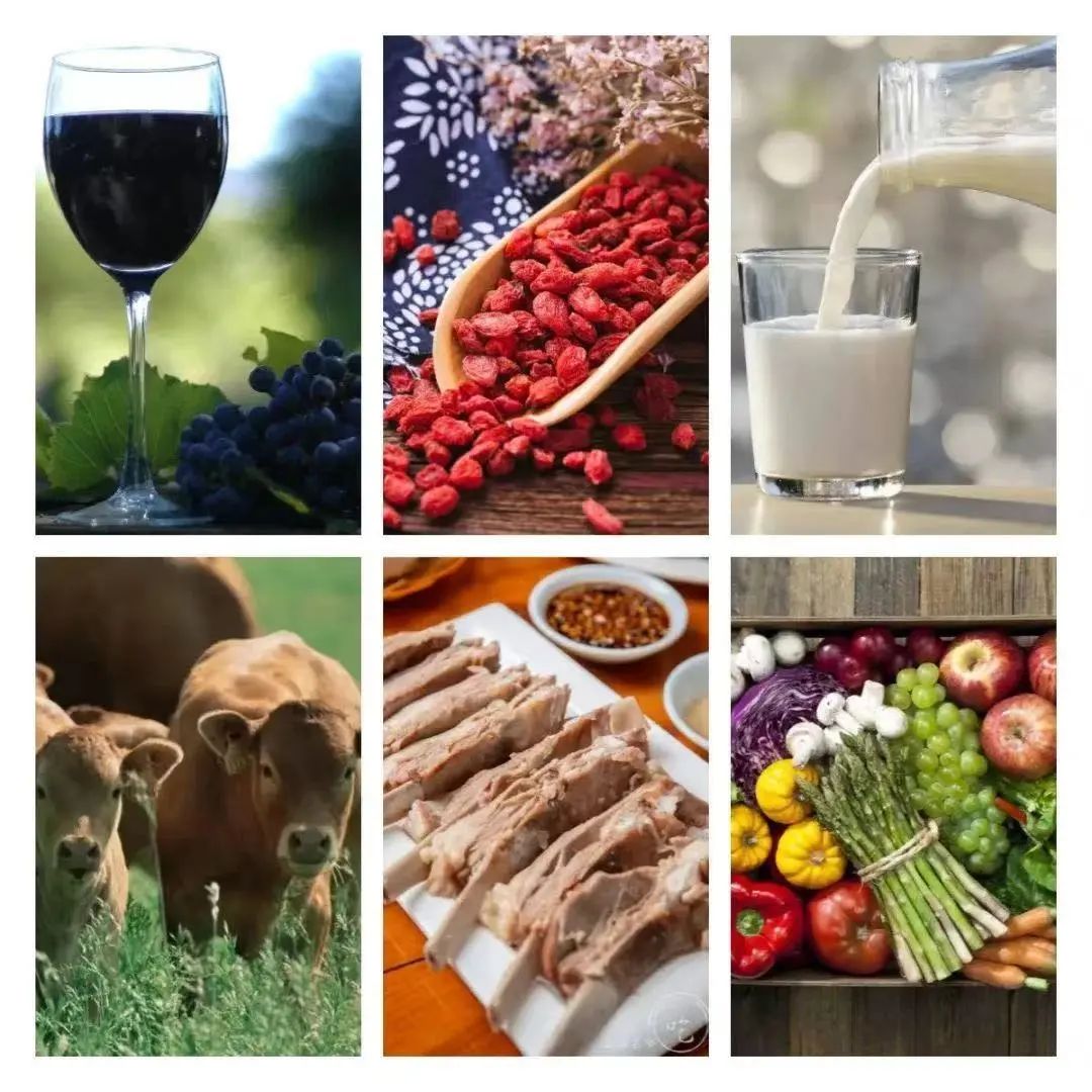 宁夏供销电商携手宁夏好粮油共同助力区域农产品品牌走向全国