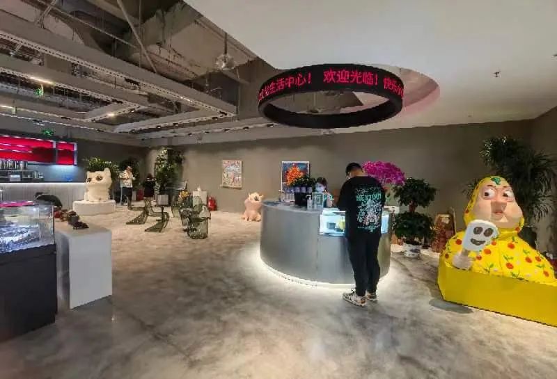 快乐小马马术俱乐部,北京朝阳公园马术俱乐部快乐小马