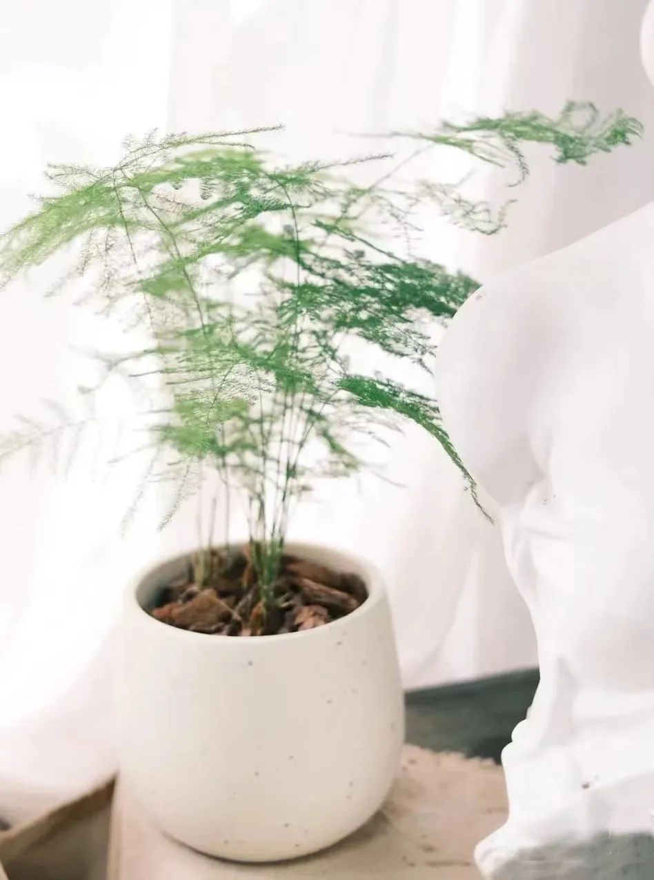 那些没说出口的话就留在心里,那些没说出口的话就藏在心里吧