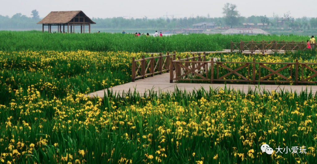 适合三天两夜的自驾亲子旅游胜地 (6条不同的游览路线供游客自由选)
