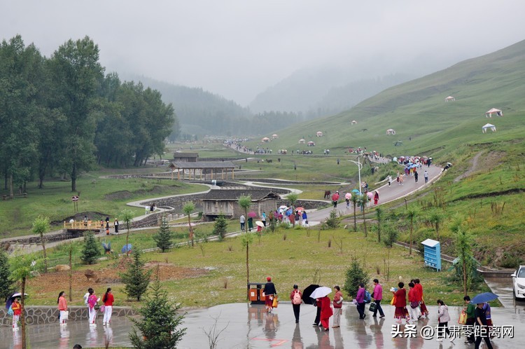 张皓博：让农家小院绘出致富新图