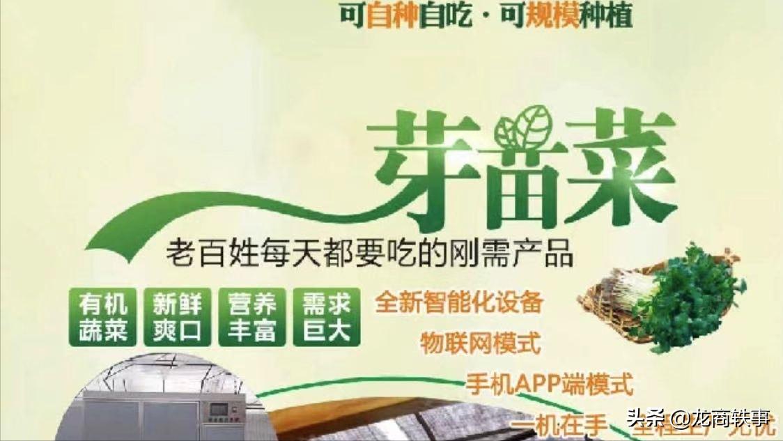 专业致力于青饲料植物工厂的科技创新，解决了养殖户大问题