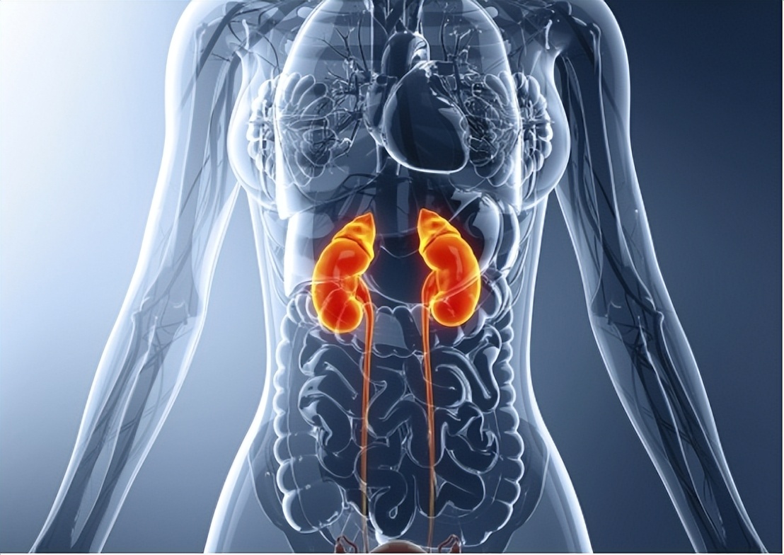 无糖碳酸饮料健康吗,无糖饮料真的比普通饮料健康