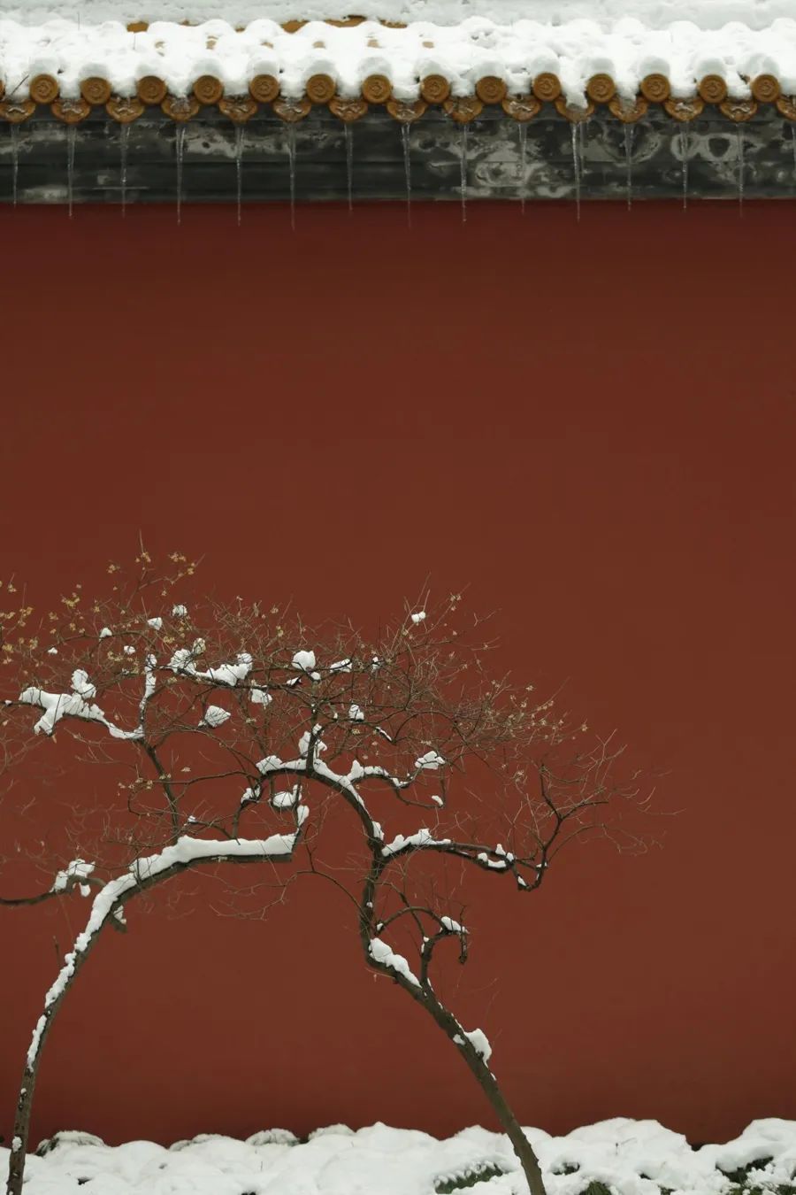 倾情荐读：时间的名字