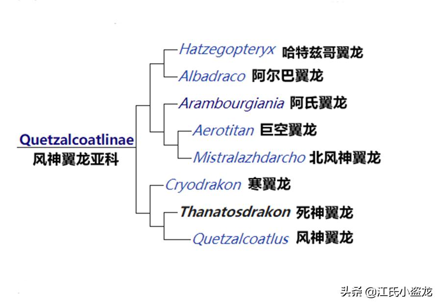 死神翼龙图片,死神翼龙真的存在吗