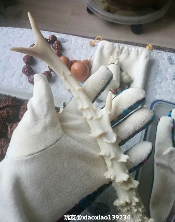 傻狍子角手把件,傻狍子的角掉了还能长出来吗