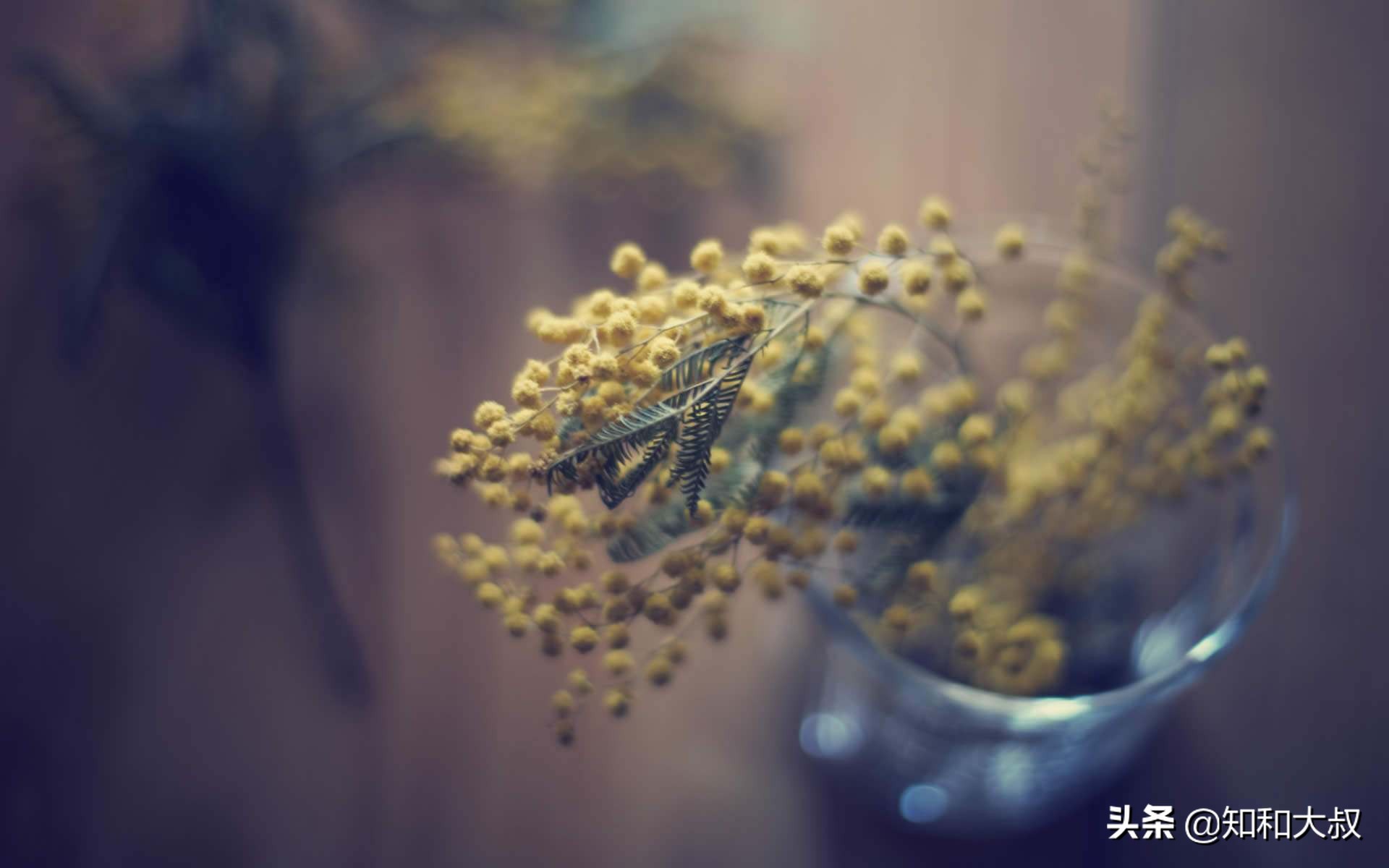 亲家闹翻后果,亲家之间最容易出现矛盾事项