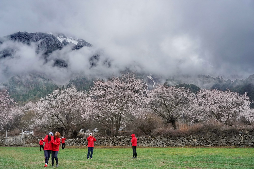 西藏自驾滇藏自由行攻略,又到草原旅游的季节