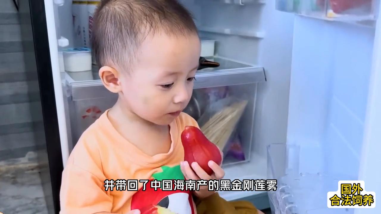 妹妹偷吃小猴子的东西,妹妹偷吃东西被发现