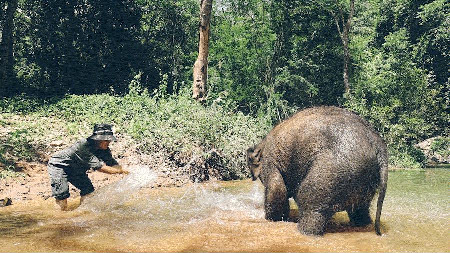 cop15第二次会议,cop15云南会场