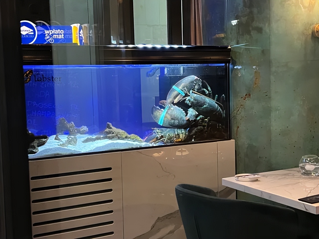 50个稀世珍宝,50个罕见的巨物让人惊叹