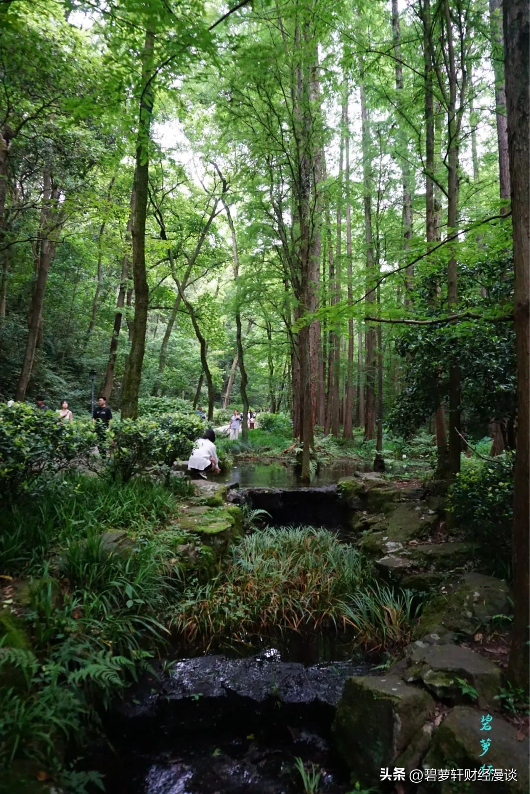 杭州虎跑公园旅游攻略,杭州虎山公园游玩攻略