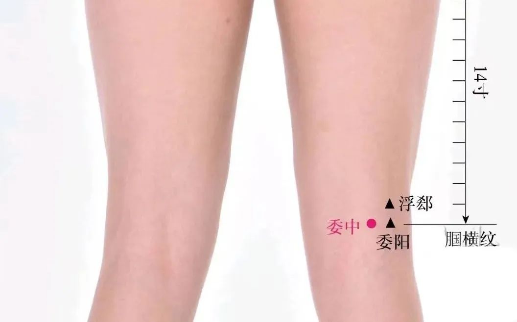 针灸十大绝招视频,针灸八句口诀