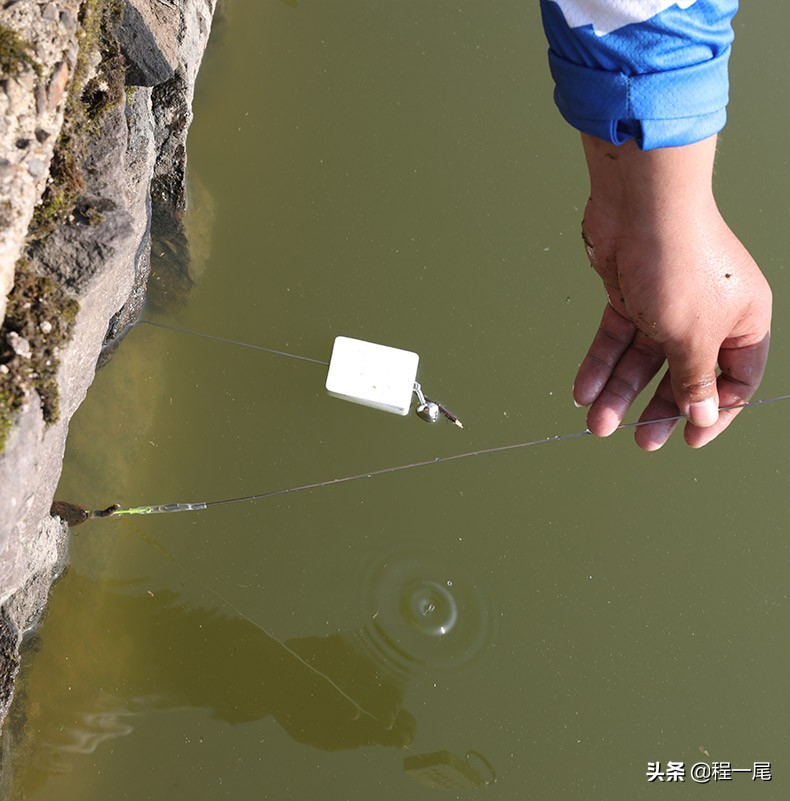 怎样找鳝鱼的洞穴,钓鳝鱼技巧小视频