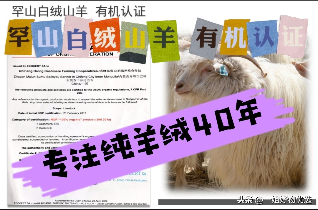 上海故事羊绒围巾价格,尼泊尔的羊绒围巾价格