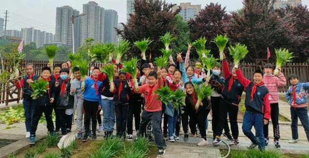 西安市碑林区小雁塔小学摸底,碑林区小雁塔小学