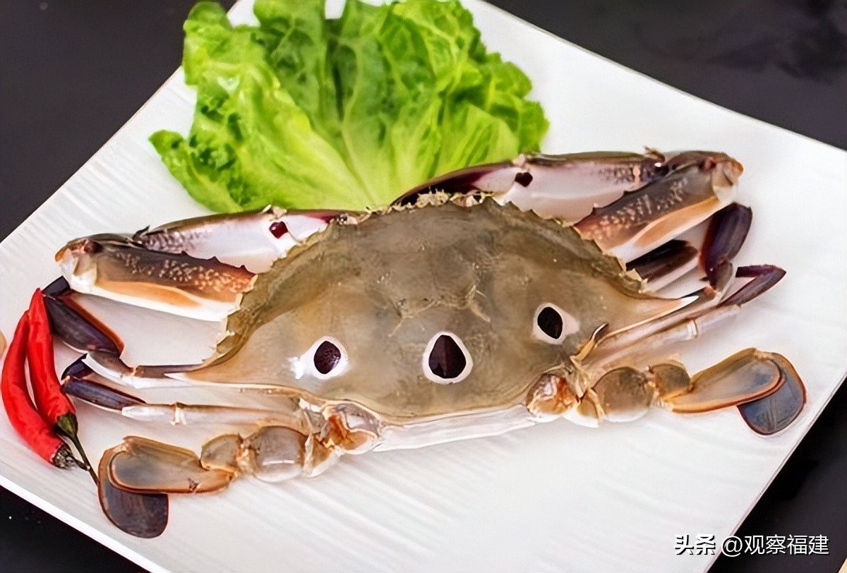 诏安秋天吃什么海鲜,福建各种海鲜图片大全