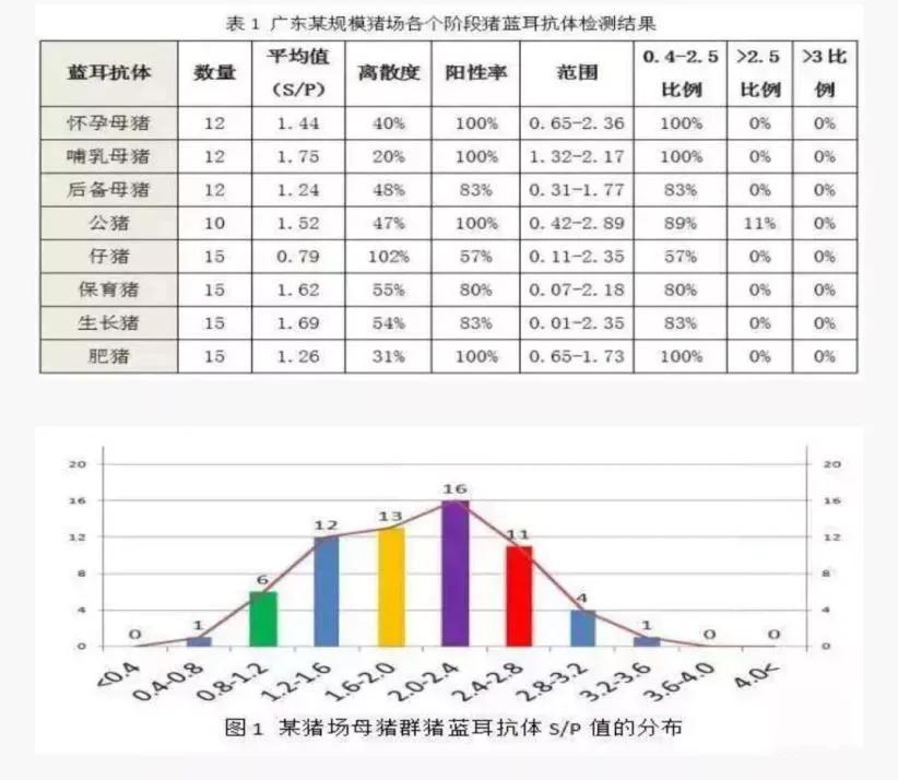 蓝耳病对猪场的危害,蓝耳病猪肉对人体有什么危害