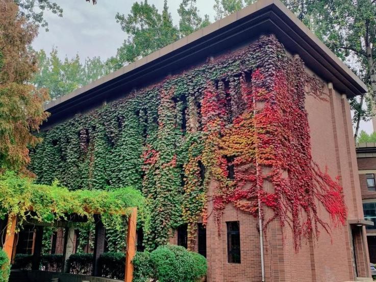 就业必看的100个专业,考生热门专业