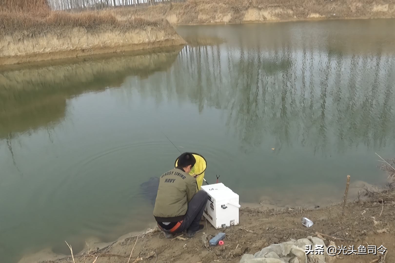 深海巨妖和北海巨妖,蓝鲸和北海巨妖谁更大