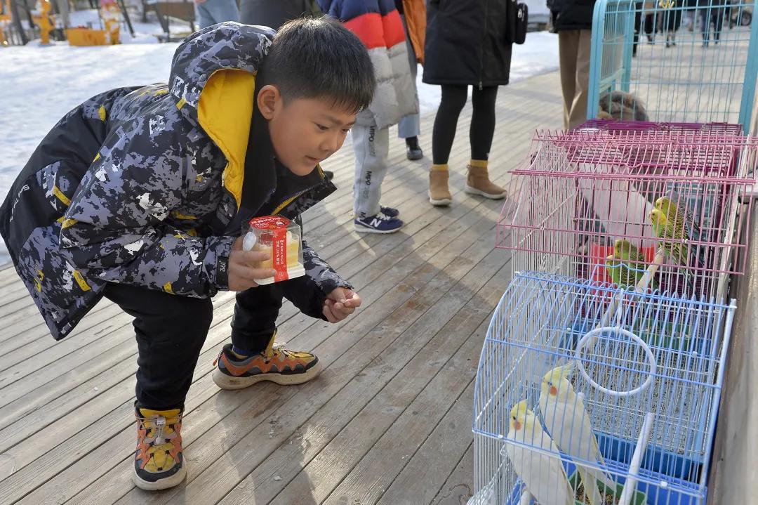 一汽大众开年活动,汉中一汽大众试乘试驾