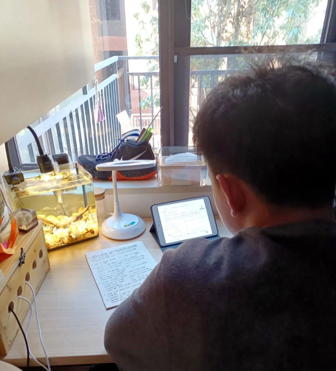 停课不停学我的网课生活,停课不停学老师坚持网课