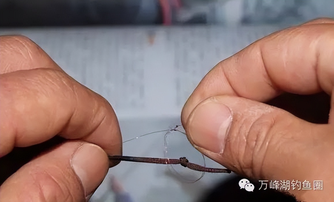 五种鱼线穿钩方法,各种鱼线绑法图解大全