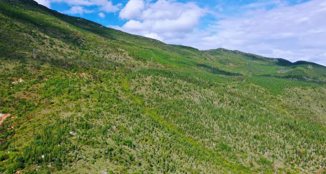 推动红河高质量跨越发展,奋力推动红河高质量跨越式发展