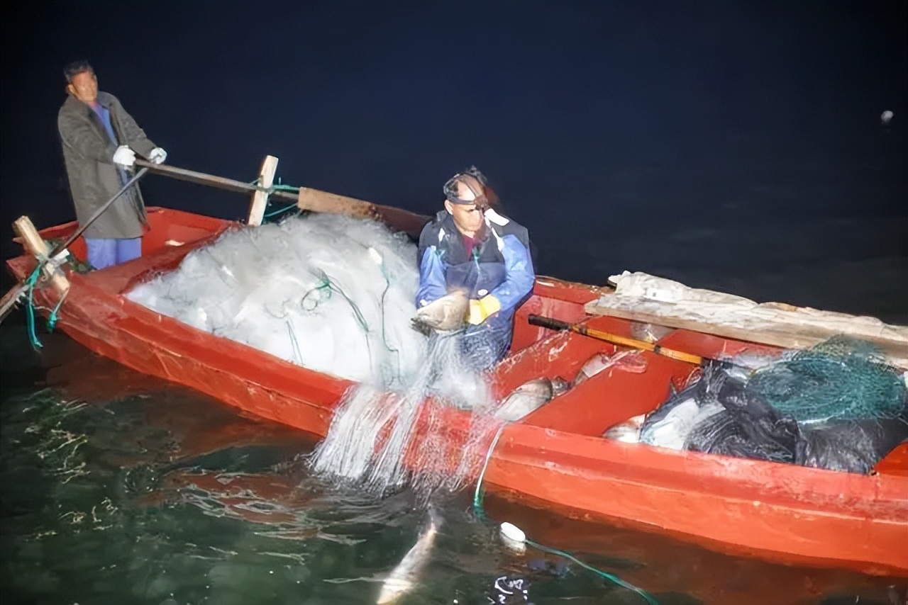 渔民捕捞回来的鱼都去哪了,密云水库开渔忙他们为渔民护航