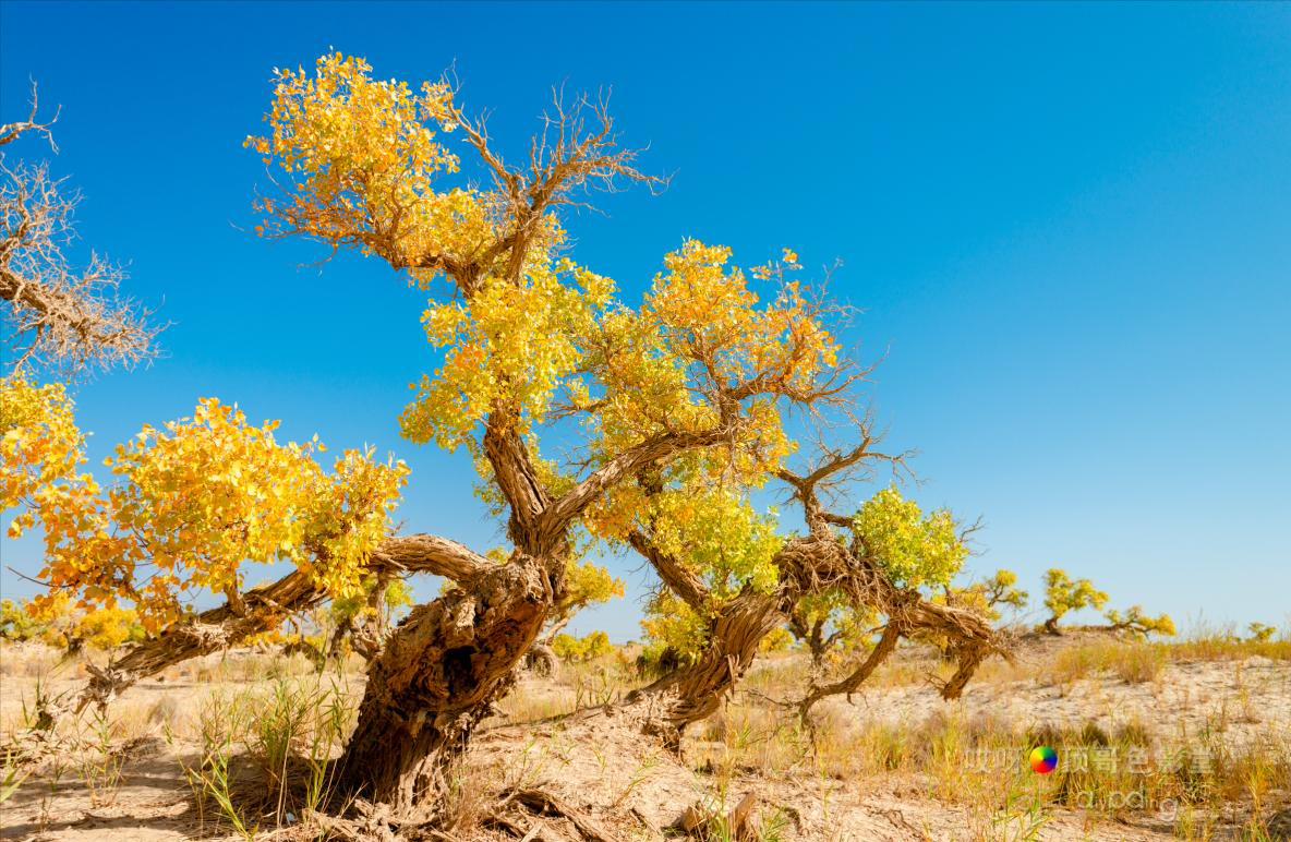 女司机带娃去新疆自驾游,带着女司机自驾游兰州