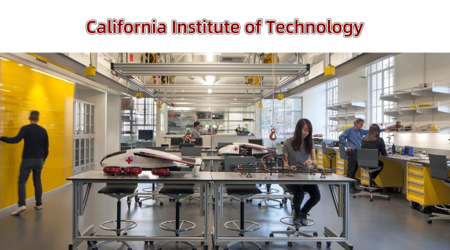 中国留学生最青睐的美国大学排名,美国留学必看的100所大学