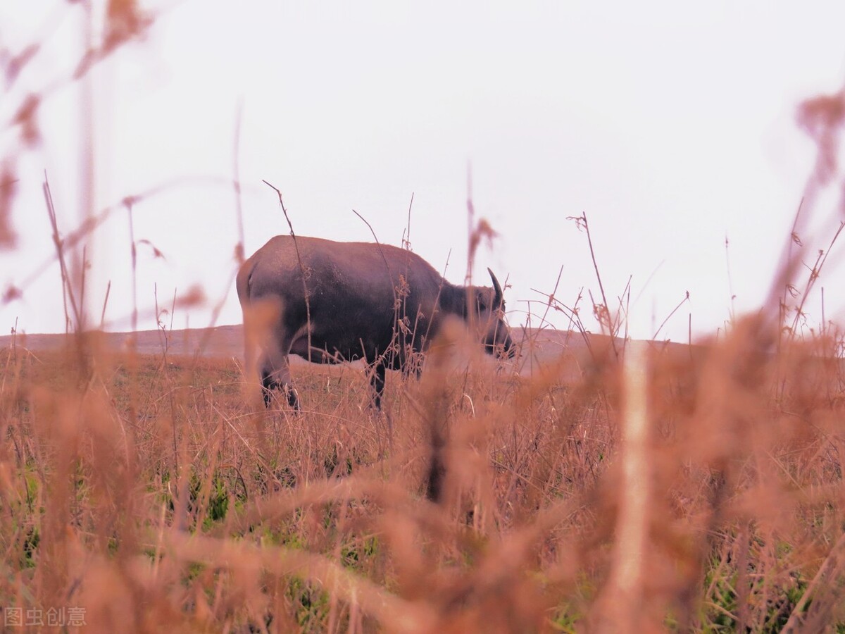 农村大学生入学后，在村里没有交口粮，遭人嫉妒，怎么办？