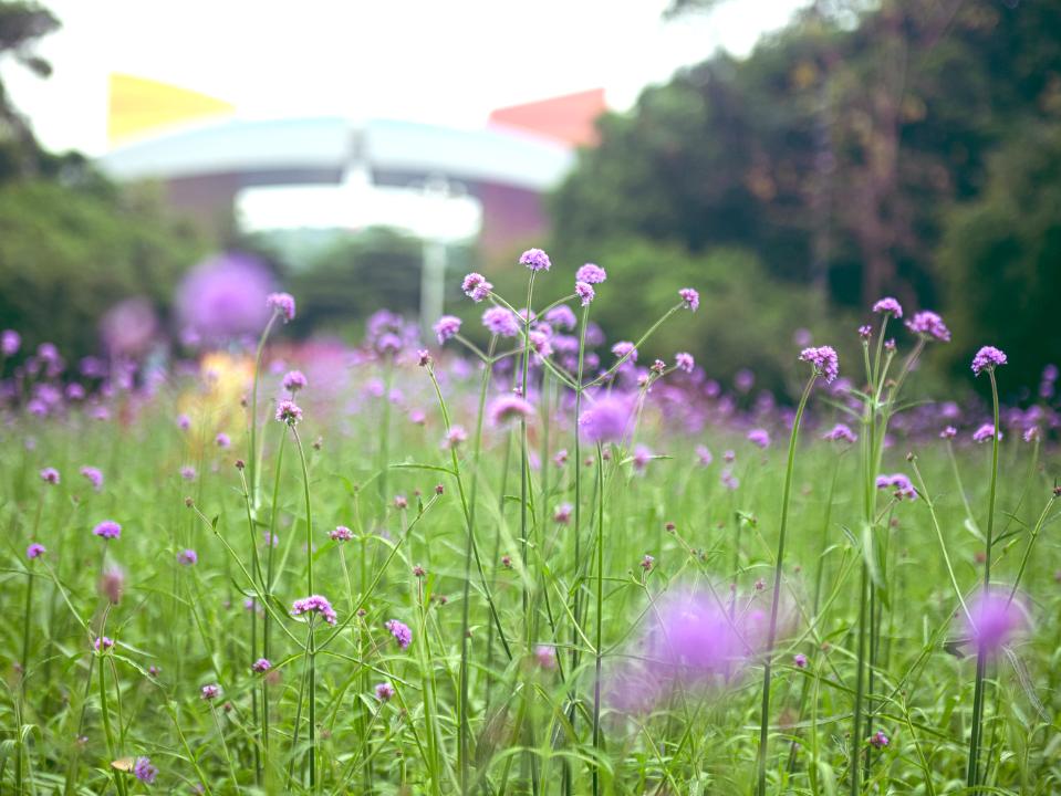 微信刷掌支付落地深圳,飞阅微信