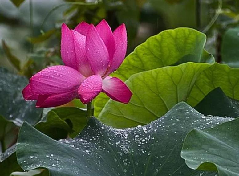 别人送你这2样东西万万不能要,别人送你旧东西时要注意什么