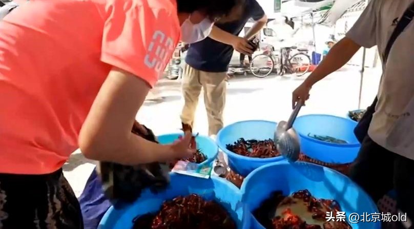 北京最值得去的三个大集,北京最实惠的大集