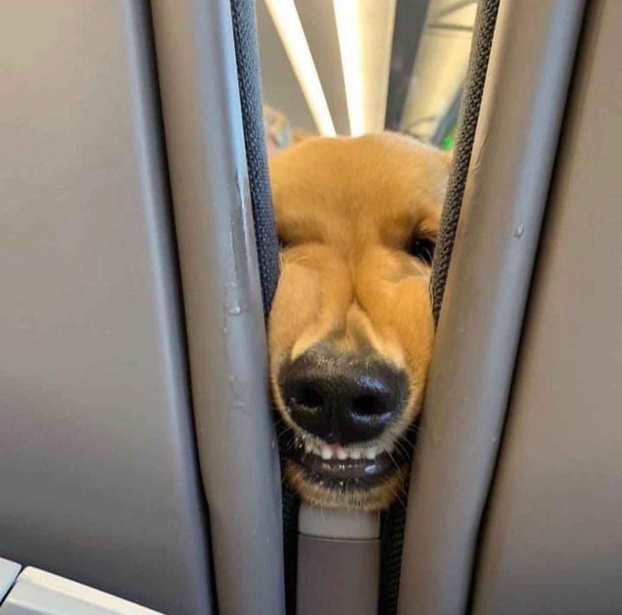 缇庡浗灏忓摜鐐硅瘎瑙嗛,缇庡浗灏忓摜鐐硅瘎