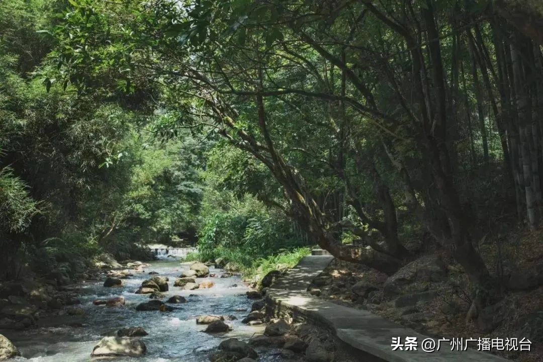 广州夏日避暑指南,广州夏日避暑胜地室内