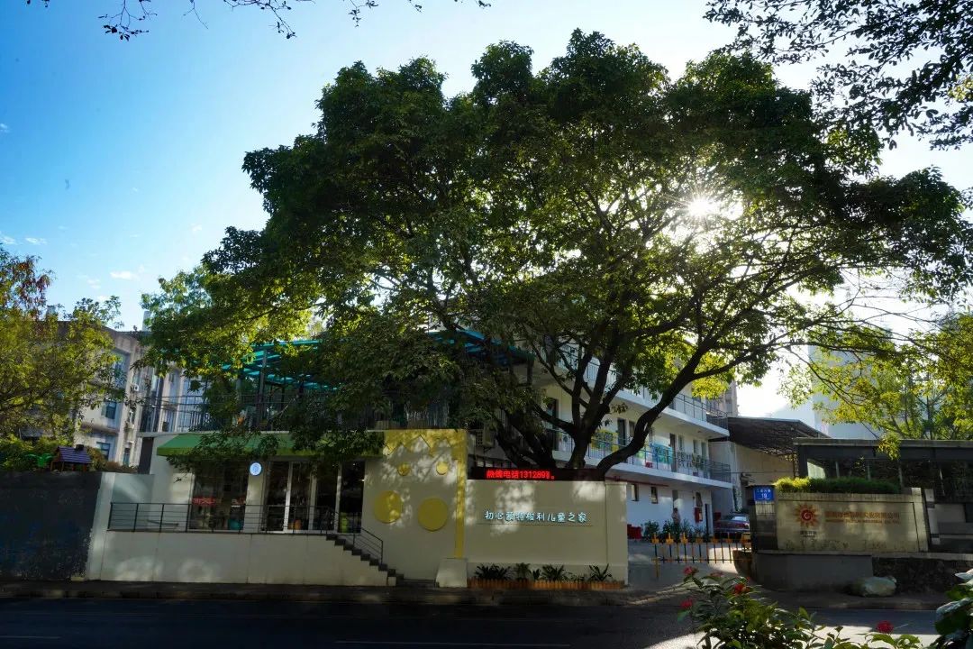 国际蒙氏幼儿园,深圳南山蒙氏幼儿园