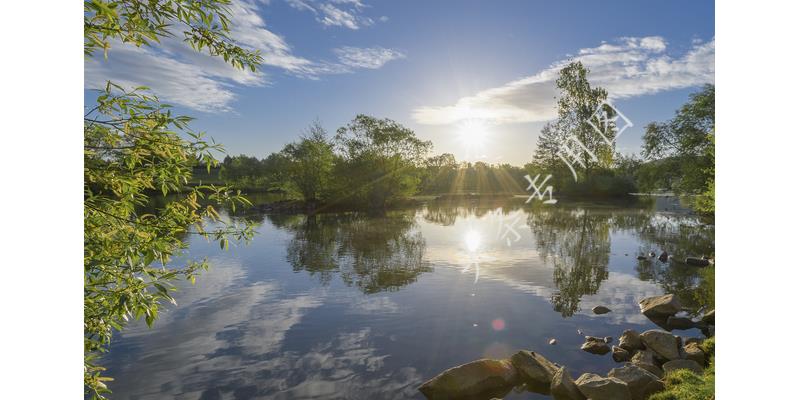 儿女不愿意出钱为父母治病怎么办,儿子不出钱给父母看病该怎么办