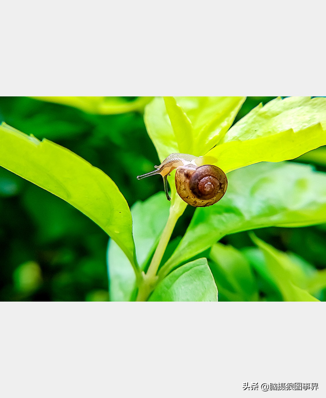 手机拍照不清晰怎么才能拍的好看,vivo手机拍照模糊怎样才能变清晰