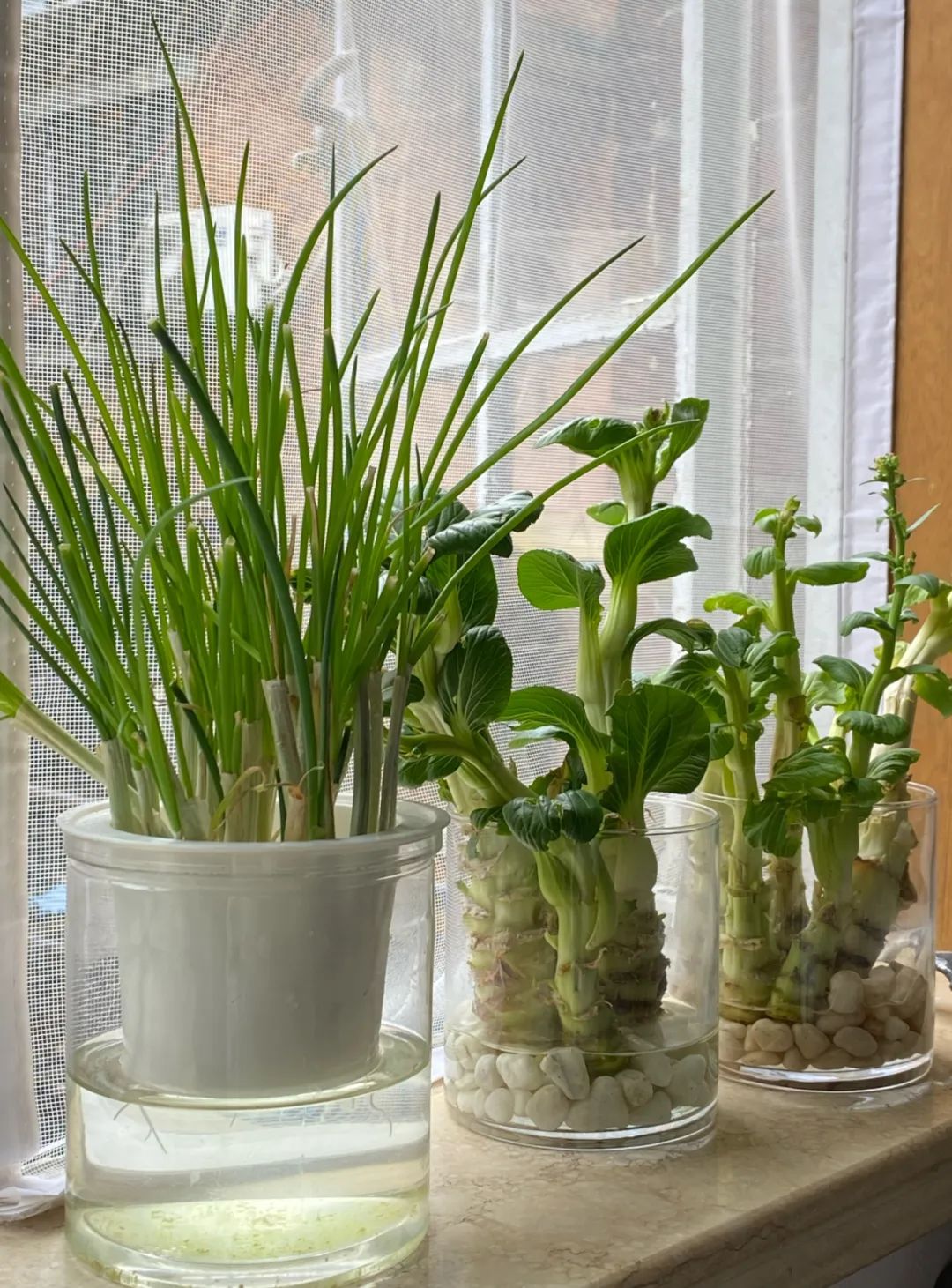 疫情防控下gmp建筑师的居家日志（上海篇）