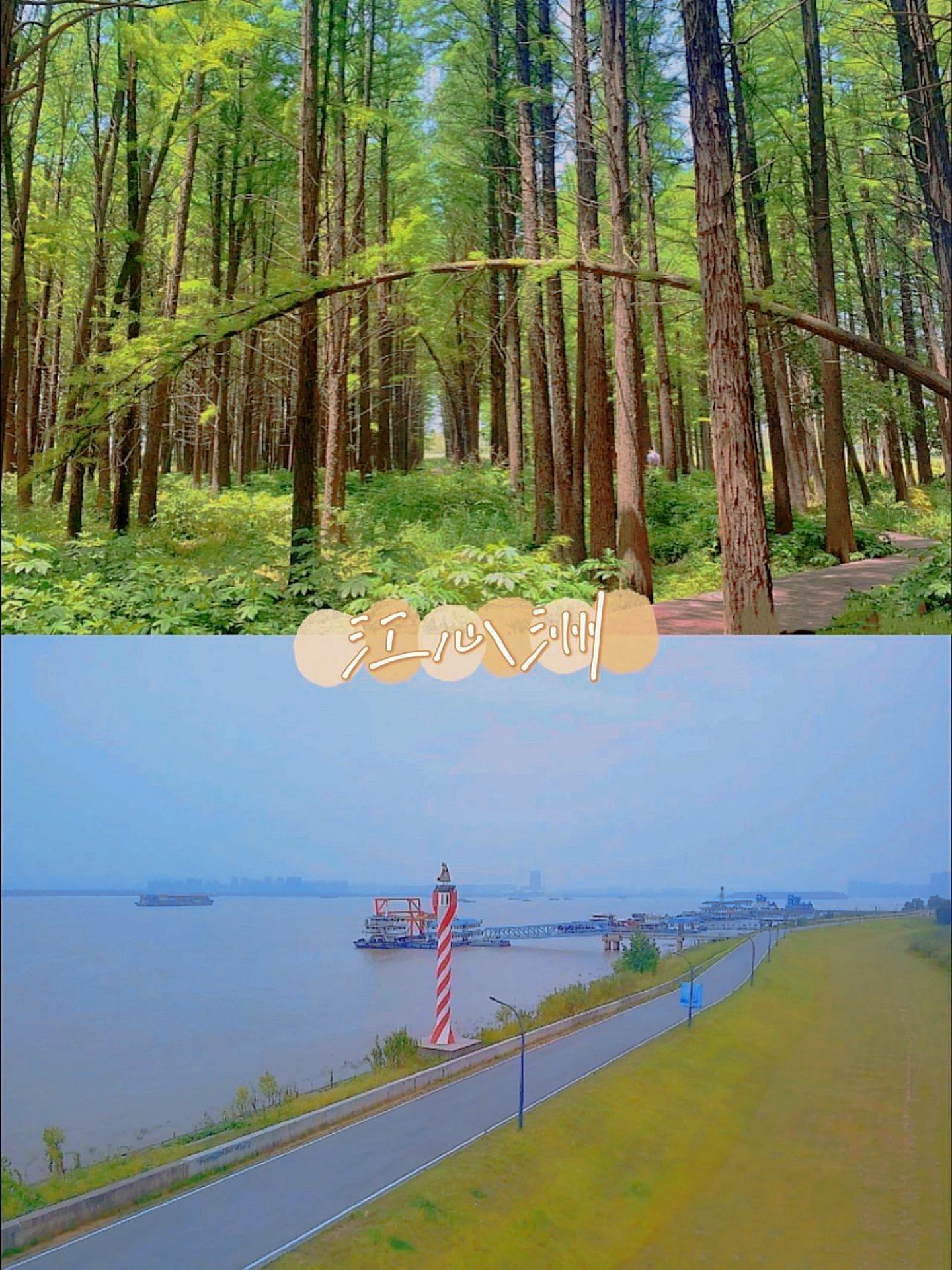 南京适合拍照景点推荐,南京适合拍照的风景区