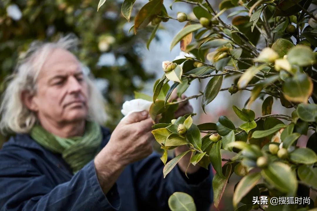 林清轩跟香奈儿打官司,林清轩山茶花的优势