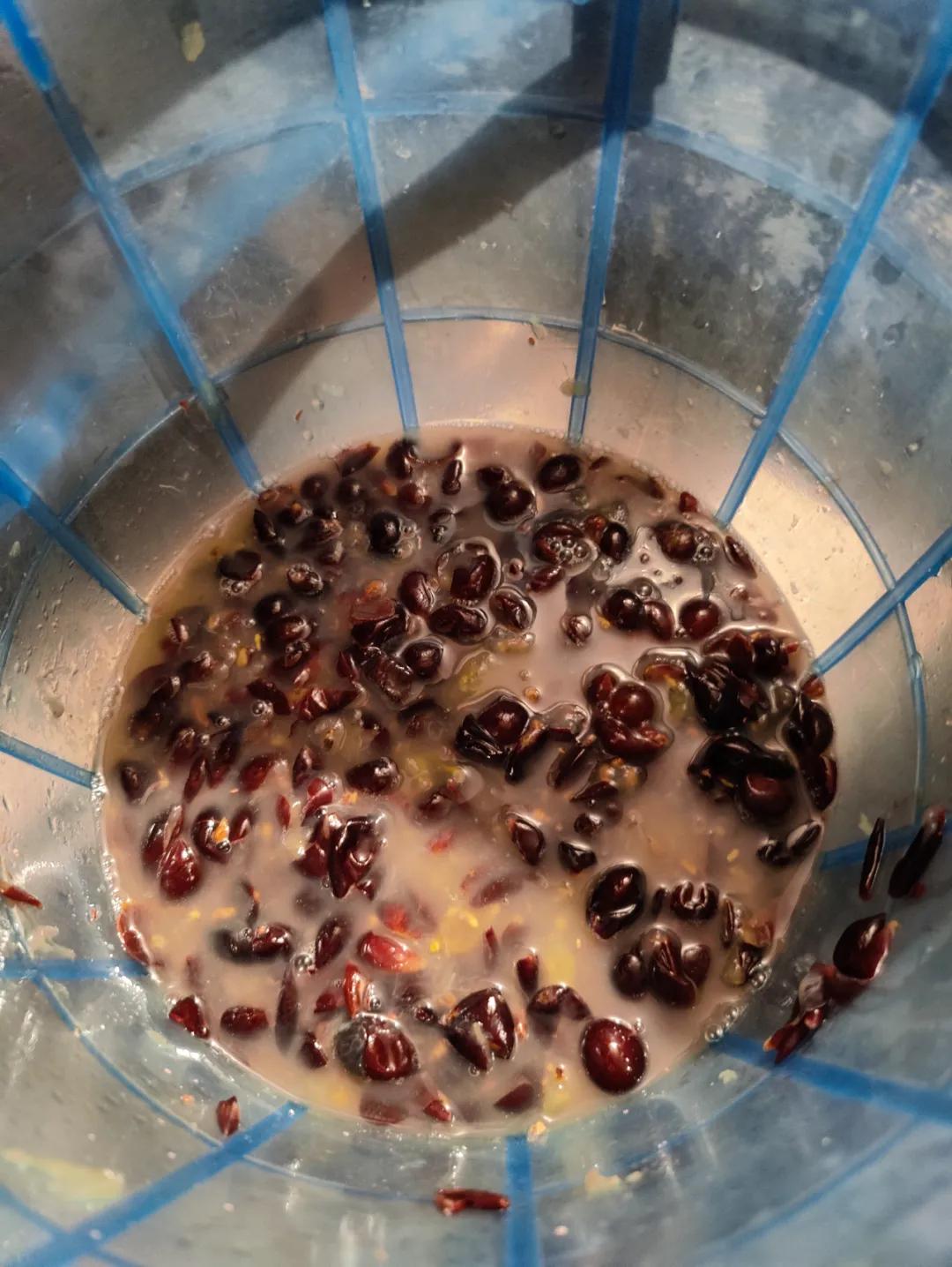 集中营六记,集中营逃亡7年